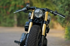 Rajputana-Custom-Motorcycle-Harley-Davidson-India-Street-750-Cafe-Racer-Fuel-Tank.jpg