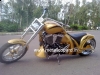 Metal Leopard Custom India Custom Motorcycle
