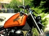 8-ball-rajputana-custom-motorcycle-bobber-using-royal-enfield-india11